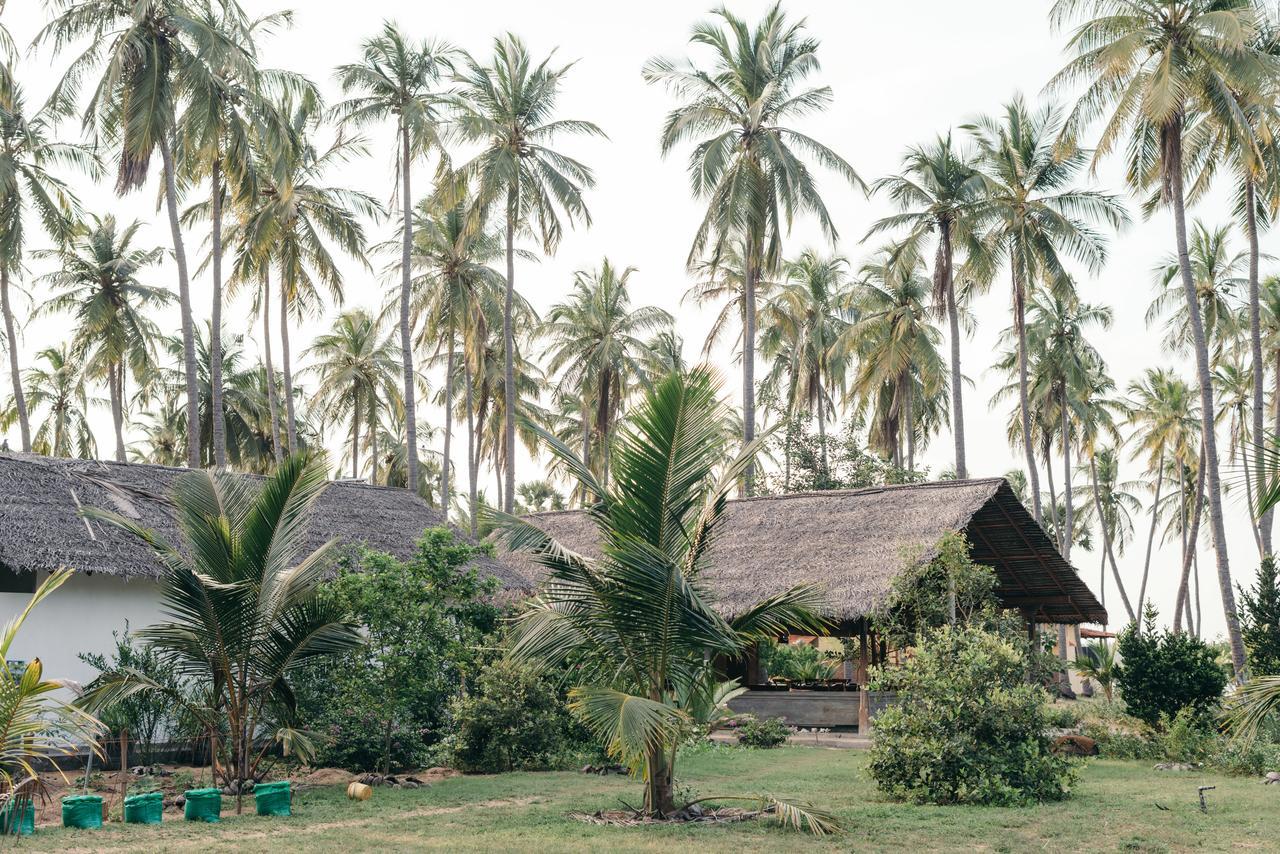 Luna Laguna Kalpitiya Exterior photo